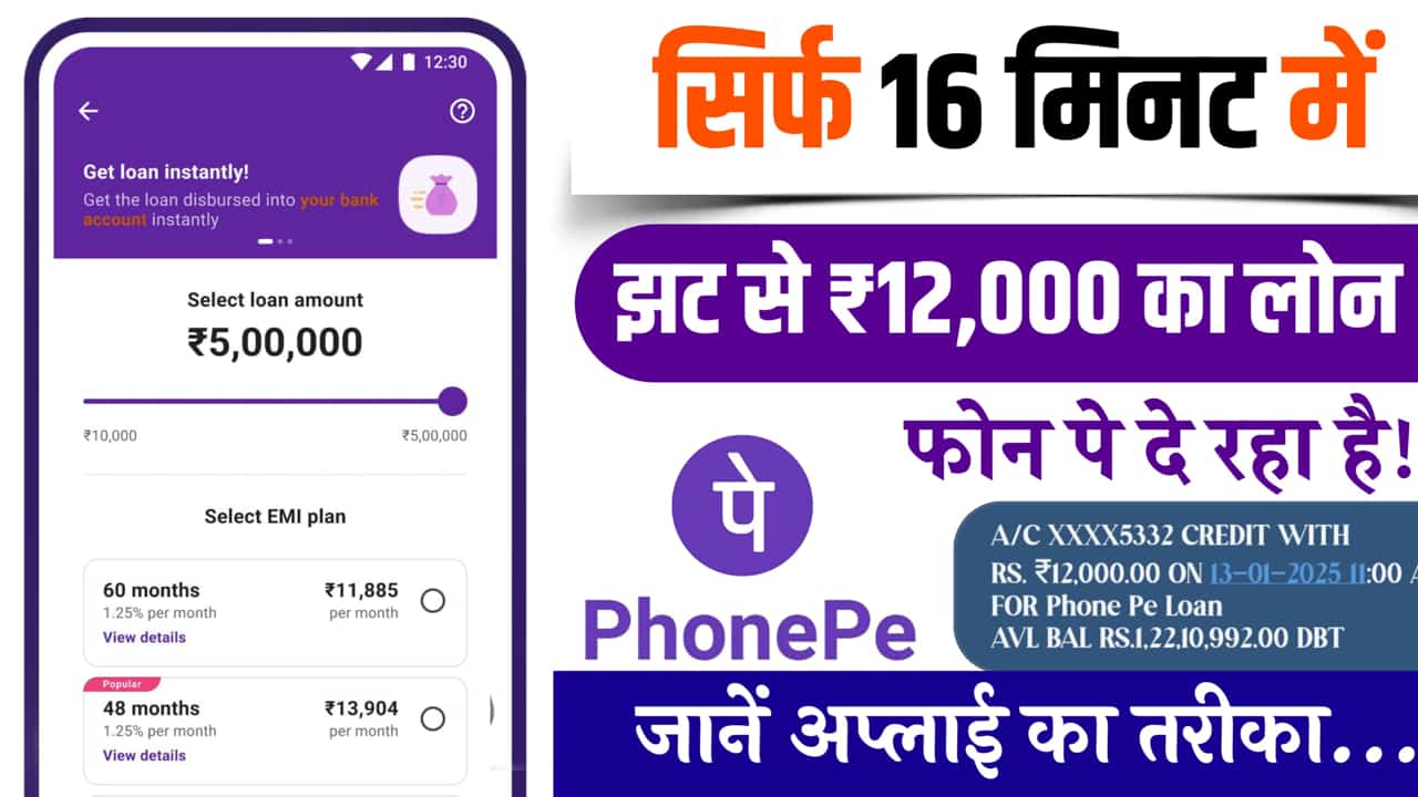 PhonePe Loan in 16 Minutes Merchant