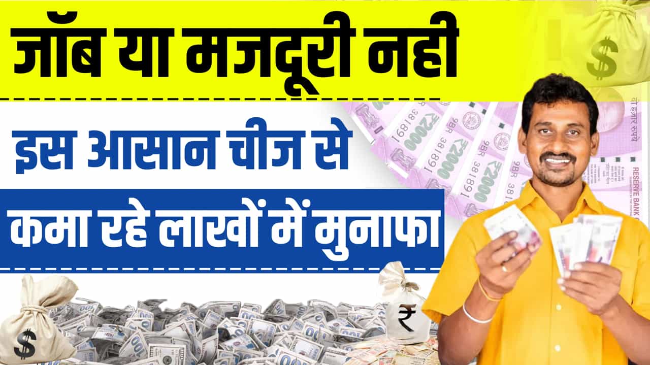 Successful Business Idea No Job No Labor Easy